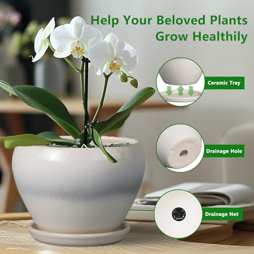 Ceramicfor Planter Pot 6 Inch - Ceramic Plant Pot with Drainage Hole and Saucer, Round Glaze Succulent Pot for Plants, White - Image 5