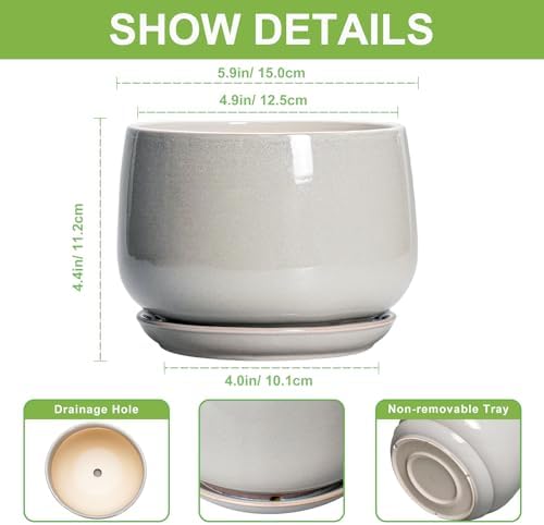 G EPGardening Ceramic Pots for Plants - 6 Inch Plant Pot with Drainage and Ceramic Tray, Modern Succulent Pots, Round Planters for Indoor Plants, Living Room Decor, Gifts for Plant Lovers, Light Grey - Image 3