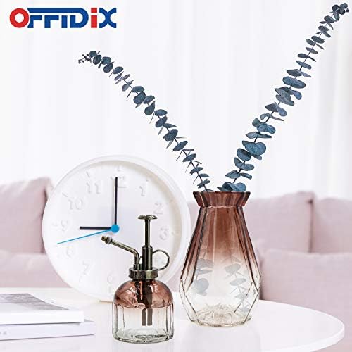 OFFIDIX Glass Watering Spray Bottle,Plant Mister Watering can Indoor with Bronze Plastic Top Pump, Glass Small Watering Can for Indoor Potted Plants Outdoor House Plant - Image 5