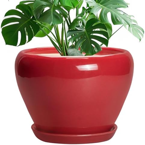 Ceramicfor 10 Inch Plant Pot, Ceramic Planter for Indoor Plants, Glossy Red by Ceramicfor