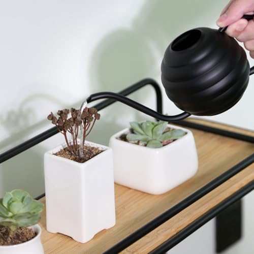 Plant Watering Bottle, 400ml/14oz, Retro Style Watering Can, Matte, Frosted (Black) - Image 4