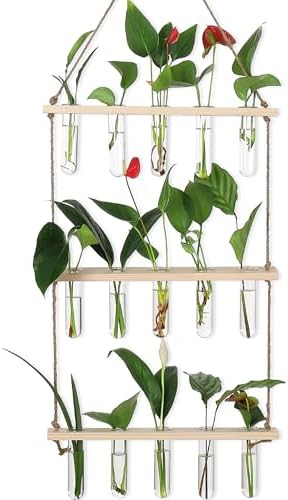 YIBOT Plant Propagation Stations with Wooden Stand 15 Glass Test Tubes Vase by YIBOT
