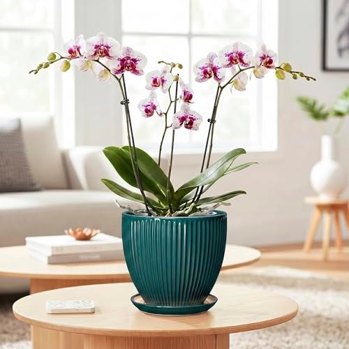 Ceramic Flower Pots, 6 Inch Planters with Drainage Hole and Saucer, Decorative Round Plant Pots for Indoor Plants, Modern Succulent Pot, Office Bedroom Decor, Plant Lover Gifts, Blackish Green - Image 3