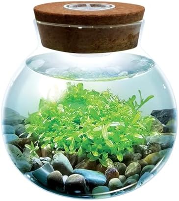 WaterPlants- Create Your Own Lush and Soothing Aquascape Terrarium Starter Kit, Indoor Plant Glass Globe Terrariums with Powerful 3 LED Light and Complete Supplies, Just Add Water! by UniqueGardener