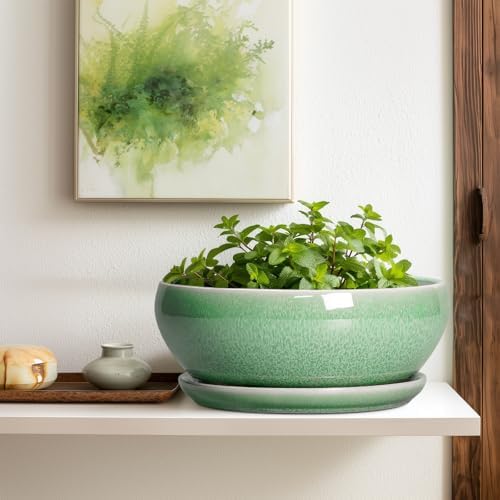 SQOWL Succulent Planter 12 Inch, Ceramic Bonsai Pots with Saucer, Green - Image 5