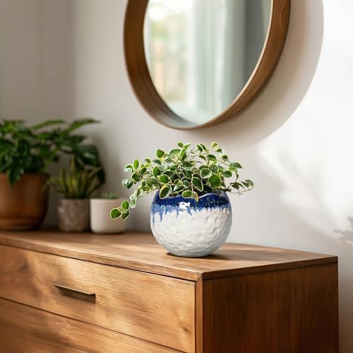4 Inch Plant Pots, Ceramic Pots for Plants, Beige-Blue - Image 6