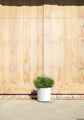 Veradek Demi Series Round Planter for Porch, Patio, Backyard | Durable Plastic-Concrete Material | Modern Décor for Tall Plants, Flowers - Image 4