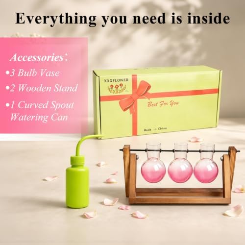 XXXFLOWER Plant Terrarium Kit with Wooden Stand 3 Gradient Pink Bulb Vases - Image 5