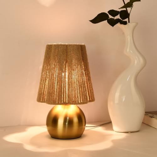 Ziqqeelam Brass Gold Spherical Mini Table Lamp with Wicker Shade, Cute Decor Nightstand Lamp for Small Spaces, Bedroom, Home Office and Living Room by Unknown