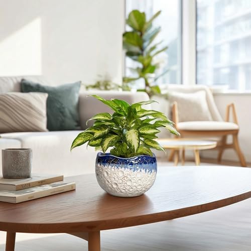Ceramic Plant Pots, 6 Inch Orchid Pot with Drainage, Beige-Blue - Image 6