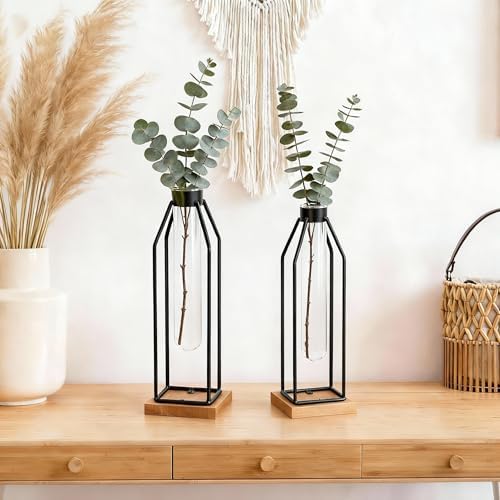 Houmury Test Tube Vase Set of 2, 11&12.5 Inch Flower Vases with Iron Stand & Wood Base, for Home Décor, Table Decor, Modern Farmhouse Decor, Hydroponic Plants - Image 6