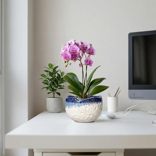 Ceramic Plant Pots, 6 Inch Orchid Pot with Drainage, Beige-Blue - Image 5
