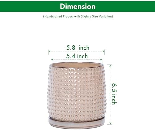 D'vine Dev Beaded Ceramic Pot with Saucer, 6 in, Light Brown, 27-C-X-4 - Image 3