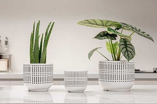 Docrin 3-Pack Ceramic Plant pots Set - 6.5"+5.3"+4" Dual-Tone Flower Pots with Drainage Holes, Modern Indoor Outdoor Planters for Succulents/Herbs/Large Plants, Home Office (Brownish Black & White) - Image 3