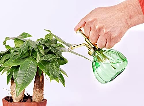 Glass Plant Mister Spray Bottle, 6.5" Green Glass Water Spray Bottle with Gold Top Pump Small Watering Can, Small Plant Sprayer Mister for Indoor Outdoor House, Green+Gold (Green+Gold C) - Image 5