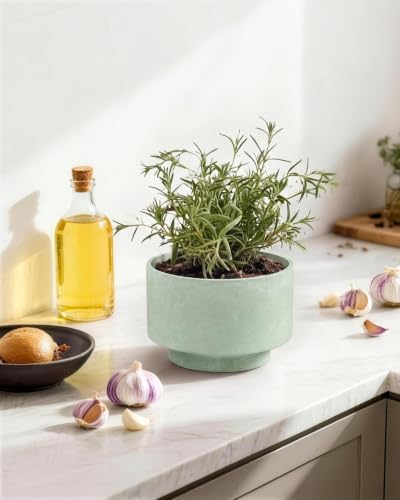 Succulent Pots, 8"+6" Plant Pots, Ceramic Planters for Indoor Plants - Image 2