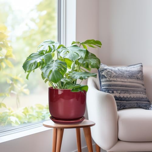Ceramic Flower Pot for Plants - Cylinder Modern 8 Inch Plant Pot Indoor with Drainage Hole and Saucer, Home Office Room Porch Decor, Red - Image 7