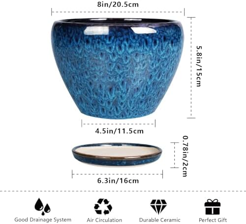 Ceramicfor 8 Inch Ceramic Plant Pot, Ceramic Planter Pot for Indoor Outdoor Plants, Round Flower Pot with Drainage Hole and Saucer, Blue - Image 4