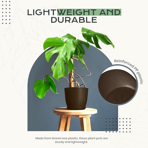 Plant Pots Indoor with Drainage, 10 Pack Multi-Size Planters Set, Brown - Image 6