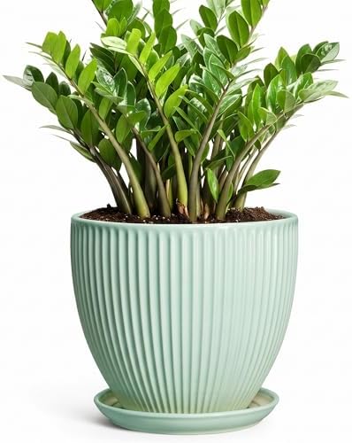 10 Inch Planter Indoor, Ceramic Pots for Plants Indoor, Decorative Plant Pots with Drainage Hole and Saucer, Large Modern Planter, Round Flower Pot, Floor Decor, Women Men Gifts, Mint Green by Unknown