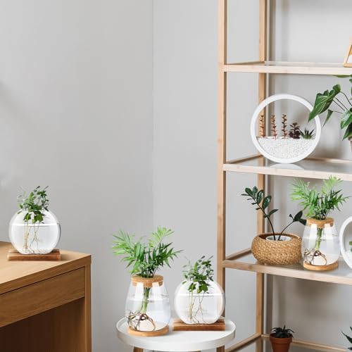 Layhit 4 Pcs Plants Propagation Stations vases Glass Planters with Wooden Lid and Bamboo Stand for Hydroponic Plants Gardening Gifts for Women Mom Home Office Tabletop Decoration(Cute Style) - Image 6