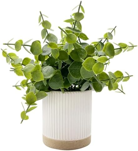 Coferset Small Fake Plants Eucalyptus Plants with Ceramic Pot by Coferset