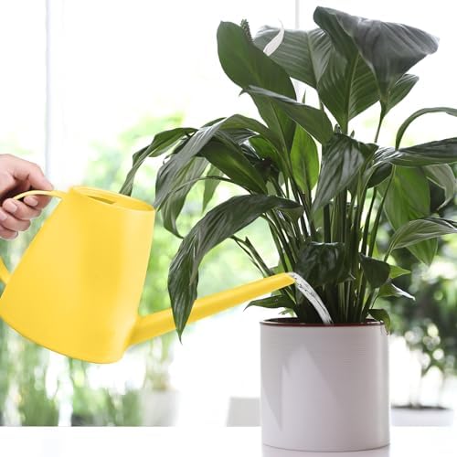 Plastic Watering Can - for Indoor and Outdoor House Plant Garden - with Long Spout - 1/2 Gallon - Yellow - Image 7