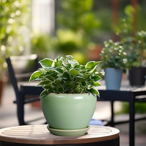 Ceramicfor 6 Inch Plant Pot - Ceramic Planter for Indoor Plants Round Planter Outdoor Plant Pot with Drainage Hole and Saucer Modern Flower Pot for Succulent Garden Green - Image 4