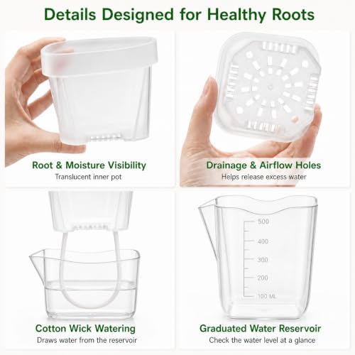 8 Pack 4 Inch Clear Self Watering Pots for Indoor Plants - Image 5
