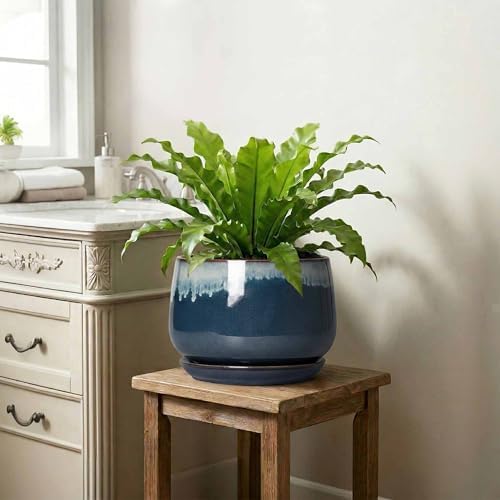 Ceramic Plant Pots, 9 Inch Ceramic Planter with Saucer, Retro Blue - Image 6