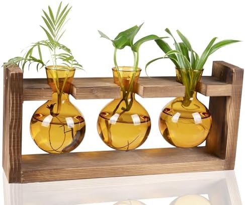 Kingbuy Glass Plant Terrarium Propagation Station - 3 Bulb Colored Vases with Retro Wood Stand Indoor Garden Planter - Wall Mount Desktop Decor for Home Kitchen Wedding, Plant Lover Gift, Amber by Kingbuy