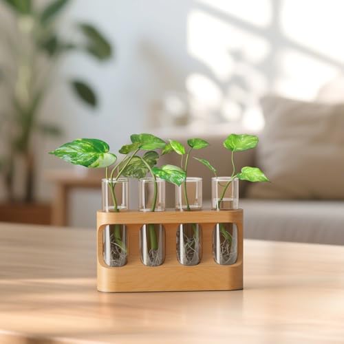 Plant Propagation Station with Wooden Stand, Gardening Gifts for Mom Women Plant Lovers, 9-Level Dimmable LED Light 4 Glass Test Tubes Vases for Hydroponic Plants - Desktop Terrarium for Desk Decor - Image 2