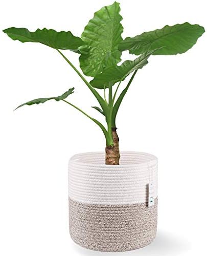 Woven Cotton Rope Plant Basket for 11 Pot (12" x 12", Khaki) by Oradrem