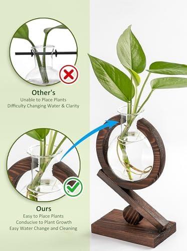 Glass Plant Propagation Station with Wooden Stand, Natural Wood - Image 4