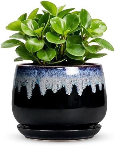 6 Inch Plant Pot - Ceramic Planters for Indoor Plants, Decorative Planter with Drainage Hole and Saucer, Round Flower Pots, Office Patio Decor, Gifts for Gardeners Woman, Black-Blue by Fivepot