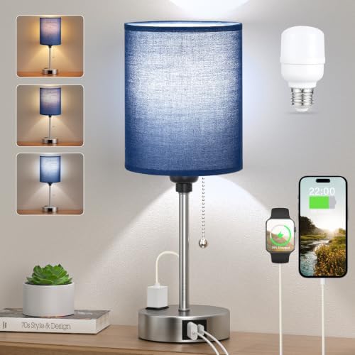 Blue Bedside Table Lamp for Bedroom, Desk Lamp with USB Ports for Dorm by DicooolDirect