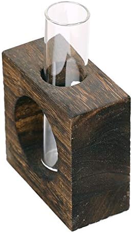 Glass Single Test Tube Vase in Wooden Stand Flower Pots for Hydroponic Plants Office Home Decoration by Unknown