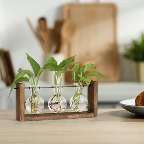 YIBOT Wall Hanging Planter Propagation Station 3 Bulb Glass Flower Vase - Image 4