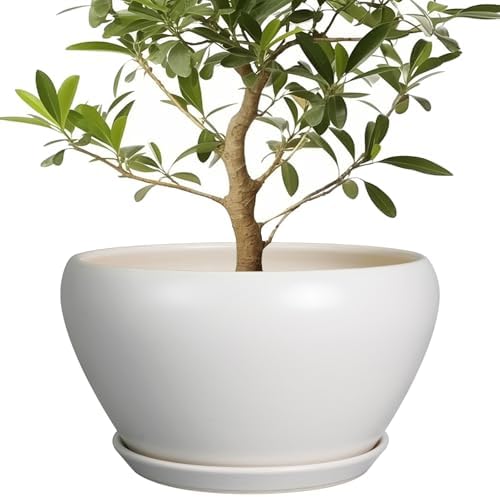 Ceramicfor Planter for Indoor Plants 13 Inch - Ceramic Plant Pot with Drainage Hole and Saucer Decorative Round Large Planter Pot for Plants Outdoor Flower Pot for Room Decor White by Ceramicfor