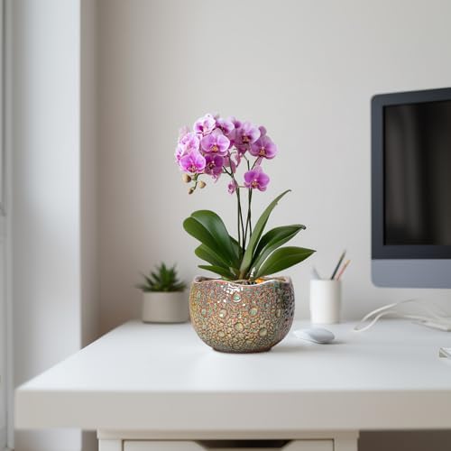 Ceramic Plant Pots - 6 Inch Plant Pot with Drainage Hole and Plug, Unique Planter for Indoor Plants Outdoor, Modern Planter, Round Orchid Pot, Room Decor, House Warming Gifts, Speckled-brown - Image 5
