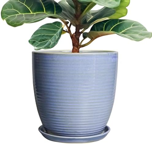 Ceramic Planter - Modern Round 12 Inch Pots for Plants with Drainage Hole and Plant Saucer for Flower Indoor, Garden Room Home Office House Decor, House Warming Gifts, Blue-Purple by EPFamily