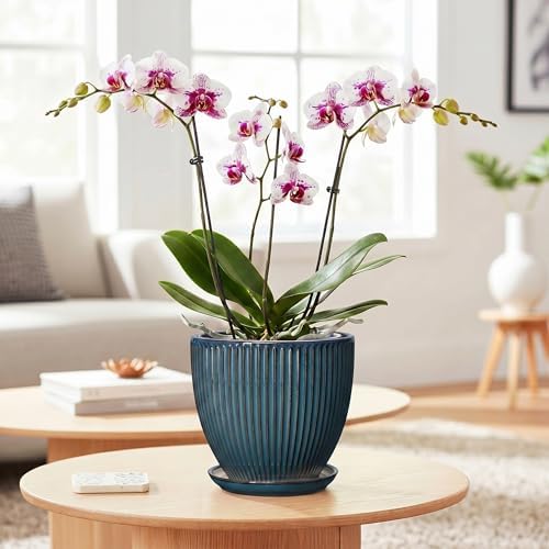 6 Inch Plant Pot, Ceramic Flower Pots for Indoor Plants, Round Planters with Drainage Hole and Saucer, Decorative Small Modern Flower Pots, Home Room Decor, House Warming Gifts, Retro Blue - Image 3