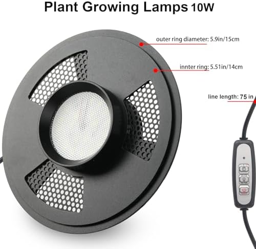 Desktop Glass Plant Terrarium with Grow Light for Carnivorous Plants & Moss - Image 4
