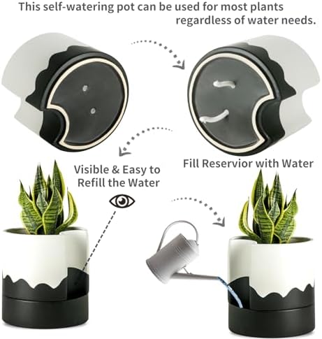 Nihow Self Watering Plant Pot, 8 Inch, White & Wave Black - Image 3