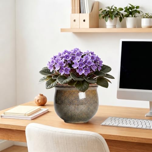 Ceramic Self Watering Pots, 8 Inch Ceramic Planter, Yellowish Brown - Image 7