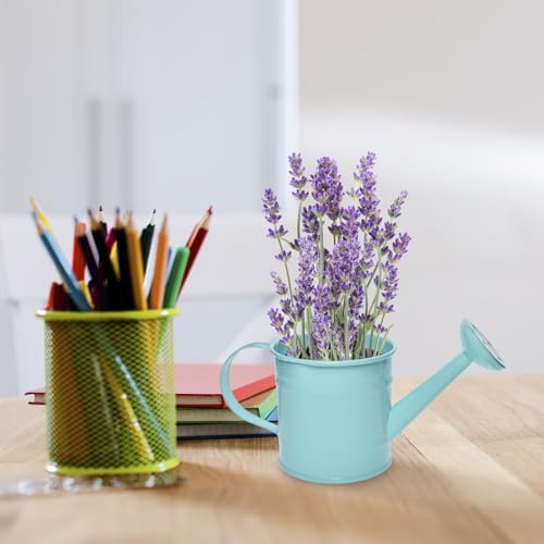 Decorative Mini Tin Watering Can - 0.05Gal Cute Metal Jug for Hand Crafts,Garden-Theme Parties,Plant Pots, Home Decor,Housewarmings, Fun Birthday Gift for Girls and Boys (B/G, S) - Image 6