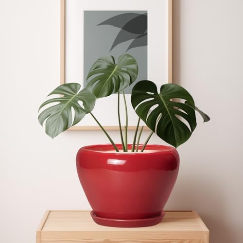 Ceramicfor 10 Inch Plant Pot, Ceramic Planter for Indoor Plants, Glossy Red - Image 7