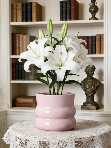 Ceramic Plant Pot,6 Inch Planters for Indoor Plants,Ceramic Planter Flower Pots with Drainage Hole,Home Office Garden Décor,(Pink,Inner-pots not Larger Than 5 Inch) - Image 3