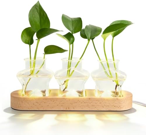 XXXFLOWER Plant Propagation Station with LED Light Wooden Base 3 Star Vases by XXXFLOWER