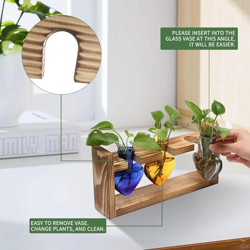 Plant Terrarium Propagation Stations Hydroponics - Image 2